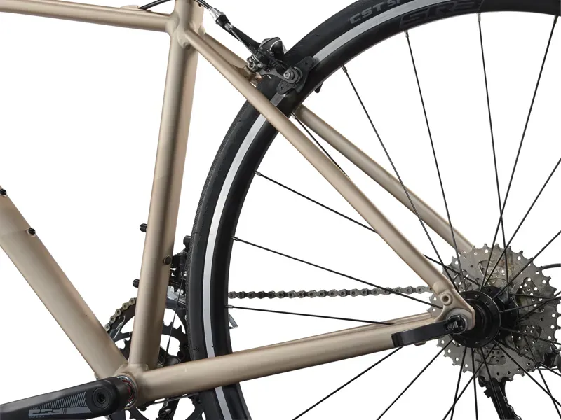 Liv Avail 2 Road Bike in Sandshell-5