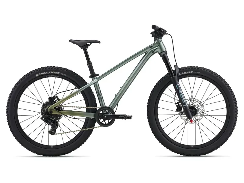 Liv STP 24-LIV Mountain Bike 24 inch in Alpine Green