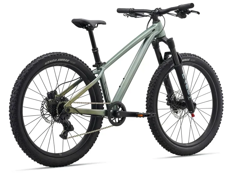 Liv STP 24-LIV Mountain Bike 24 inch in Alpine Green-1