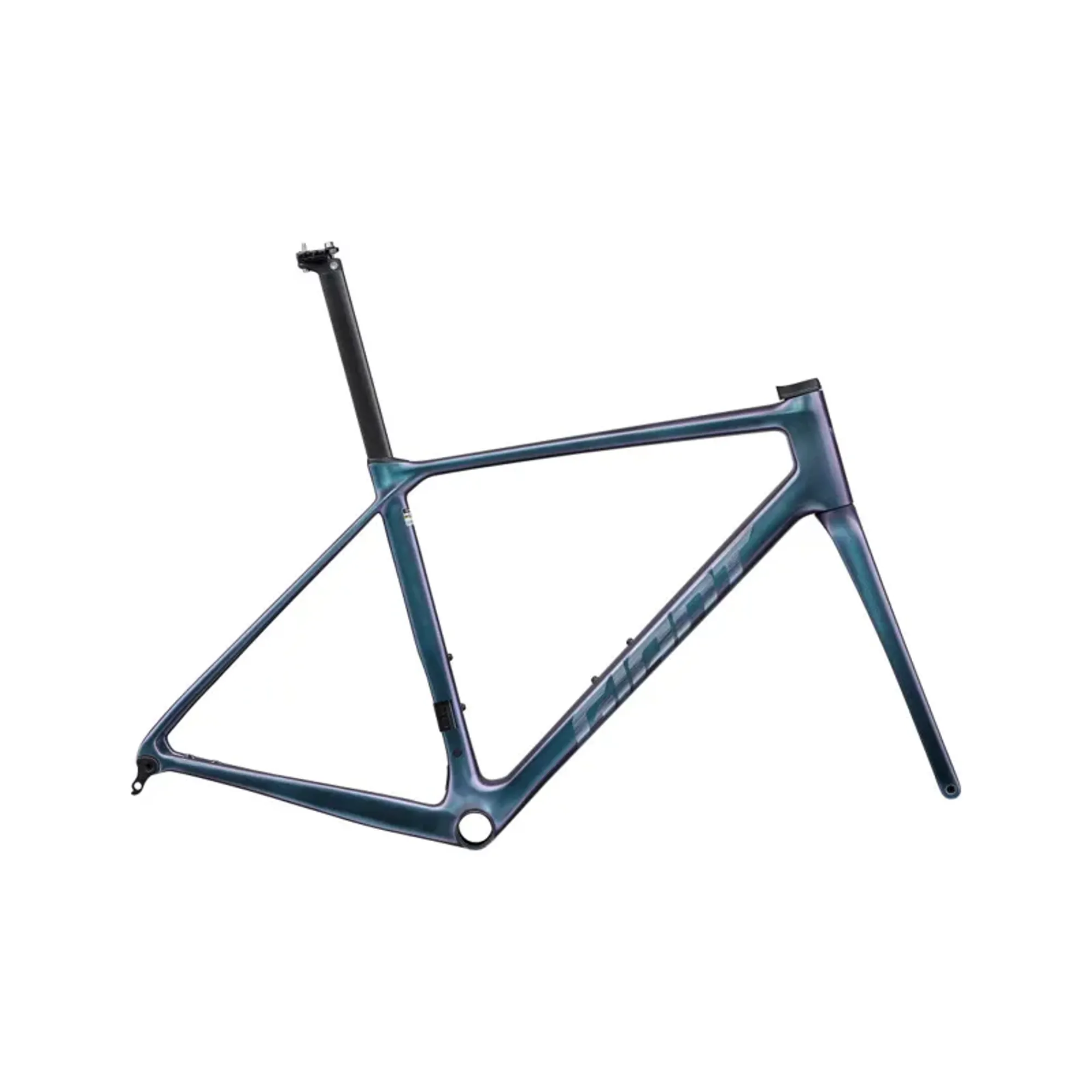 Giant TCR Advanced Pro Road Bike Frameset In Gloss Blue Dragonfly/Brushed Foil